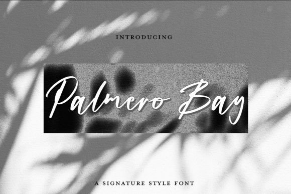 Palmero Bay: An Elegant Signature Script Font for Branding
