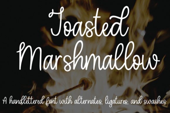 Toasted Marshmallow: A Script Font Built for Web Designers